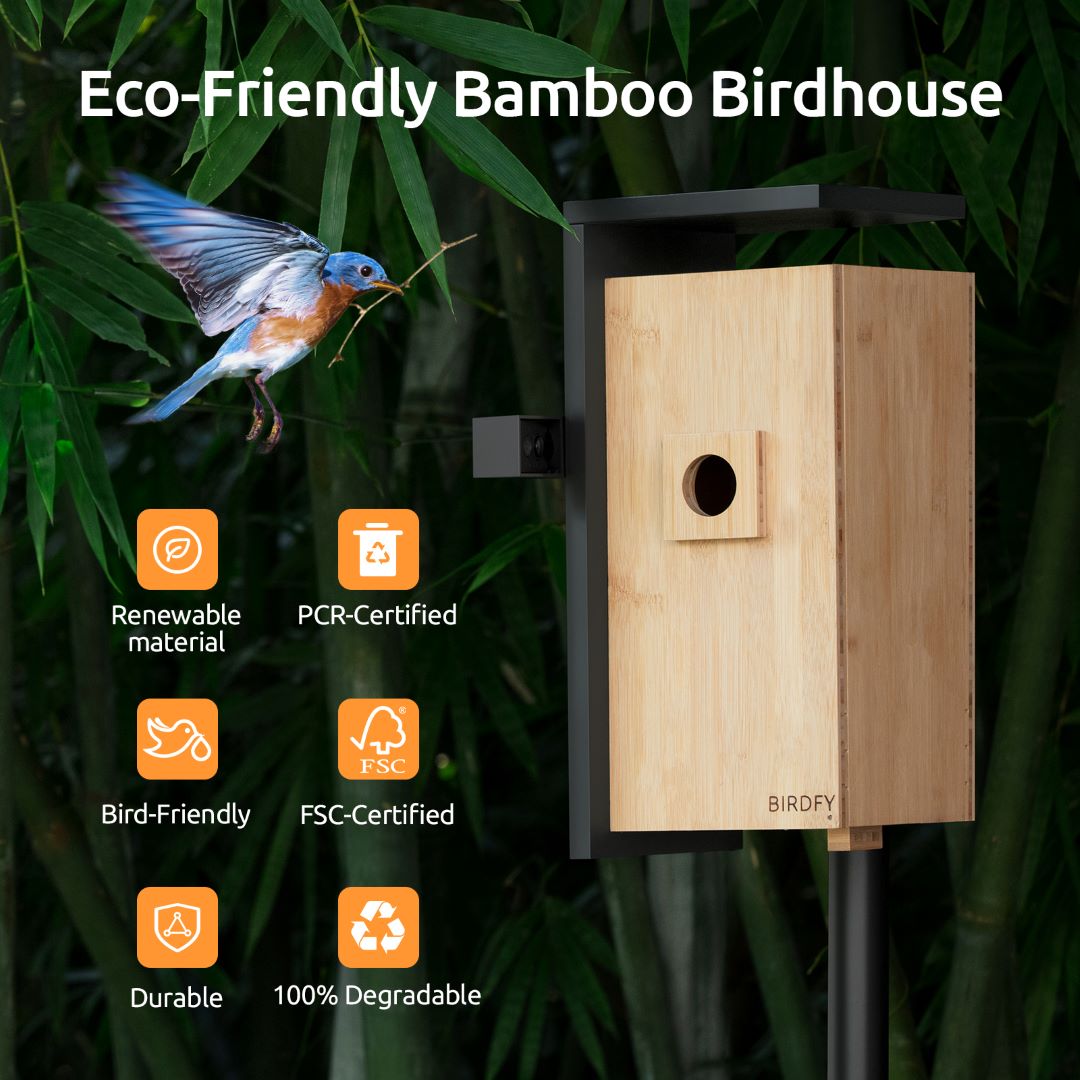 Netvue Birdfy Launch Various Feeder Accessories to Attract Diversified  Birds - IssueWire